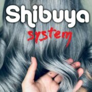 (c) Sistemashibuya.com